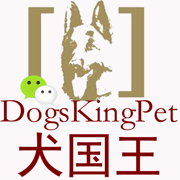 犬国王繁育比微信号